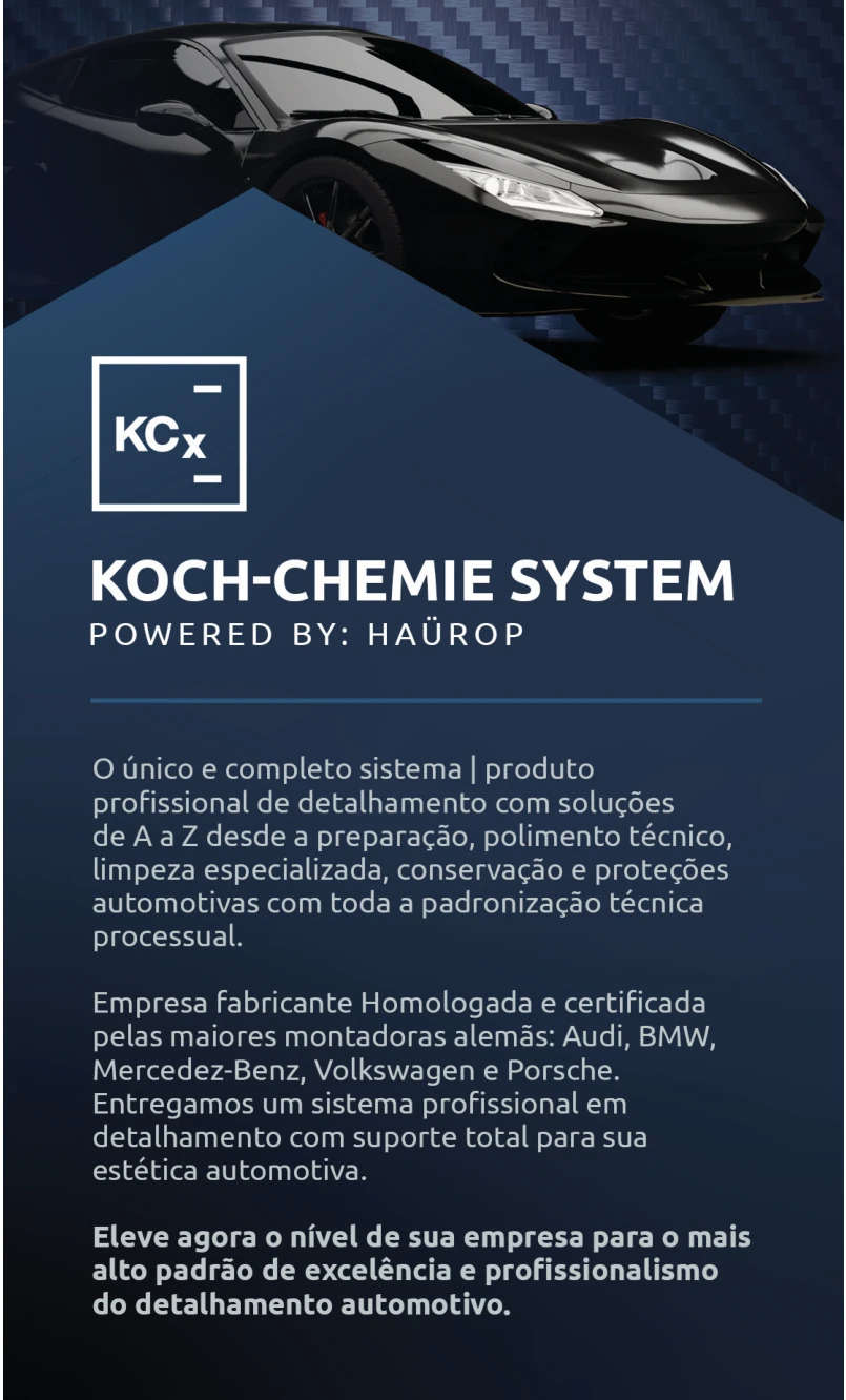 AF_KOCH_page_2